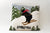 Stratton Logo Ski Bear Pillow