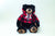 Stratton Stuffed Bear with Hoody